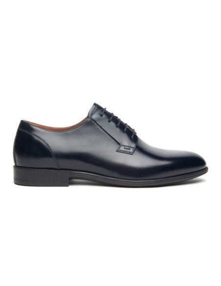 Nero Giardini scarpa elegante Derby